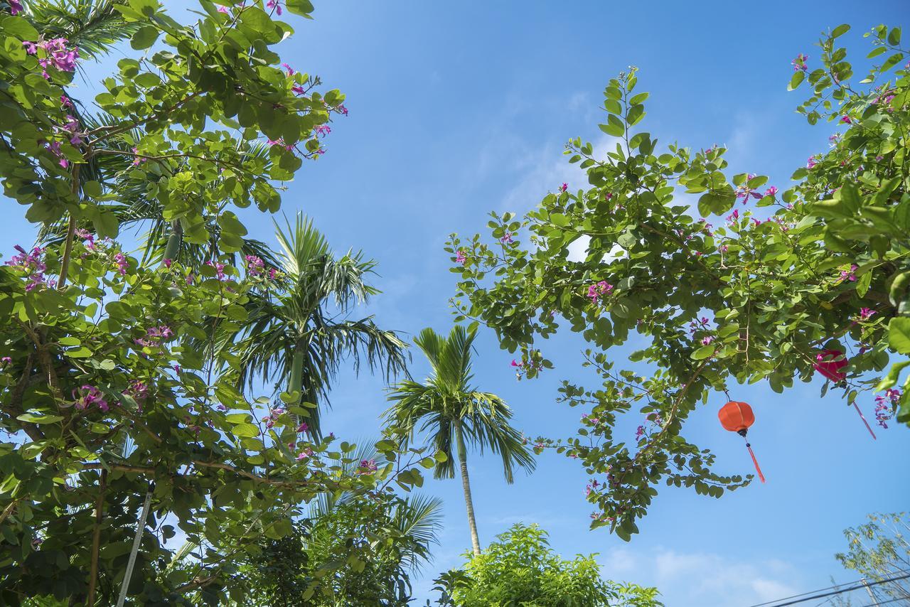 Hoi An Luna Villa Экстерьер фото